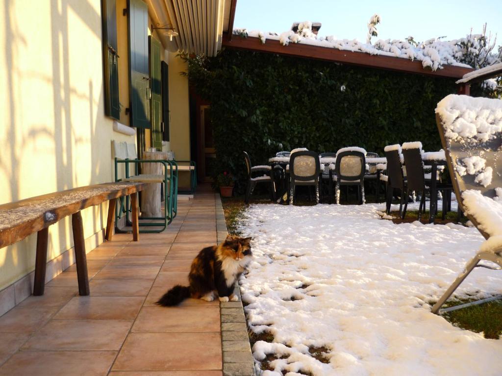 Sant'Andrea Agriturismo Con Cantina Martignago Vignaioli Asolo Prosecco Docg Wines Maser Eksteriør billede