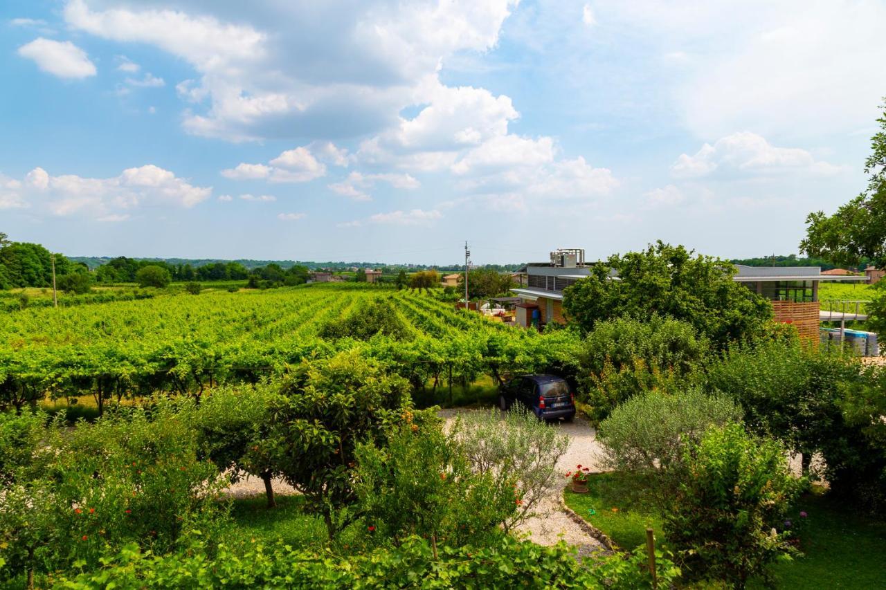 Sant'Andrea Agriturismo Con Cantina Martignago Vignaioli Asolo Prosecco Docg Wines Maser Eksteriør billede
